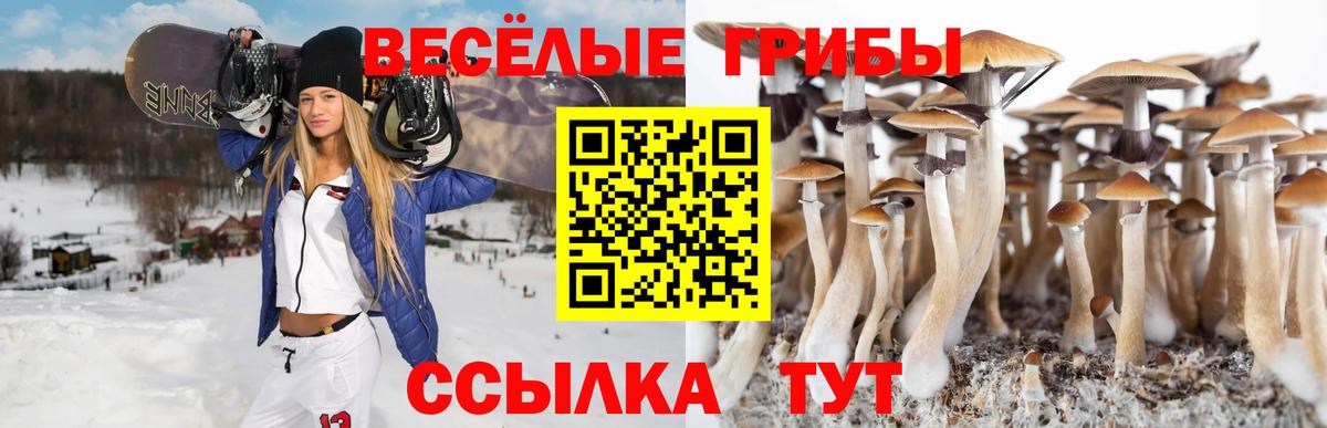 Белогорск  Псилоцибиновые грибы Psilocybine cubensis  Вход с VPN  Псилоцибиновые грибы Psilocybe 